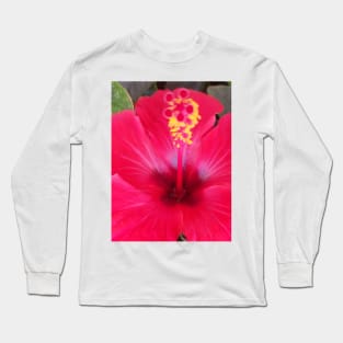 Hibiscus flower of the summer Long Sleeve T-Shirt